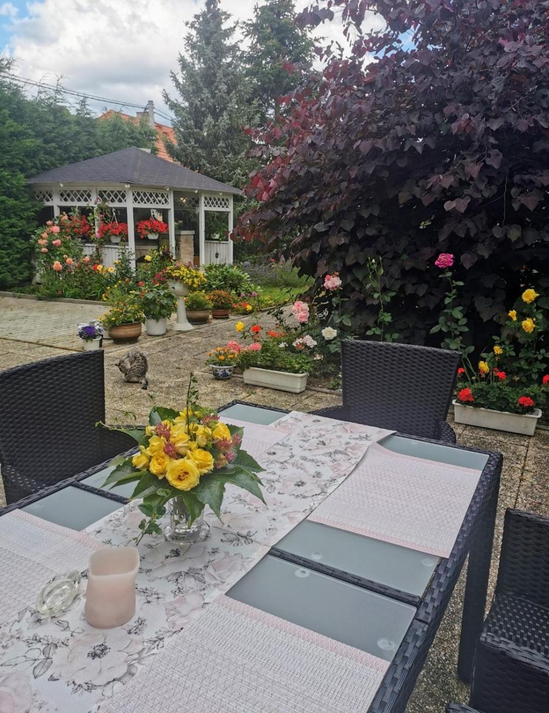 Homestay Svatá Buitenkant foto